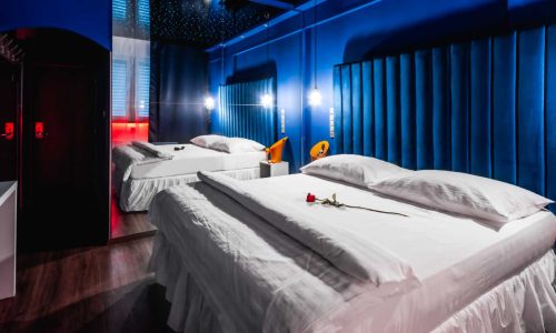 2022-Blue velvet (3) (Velký)